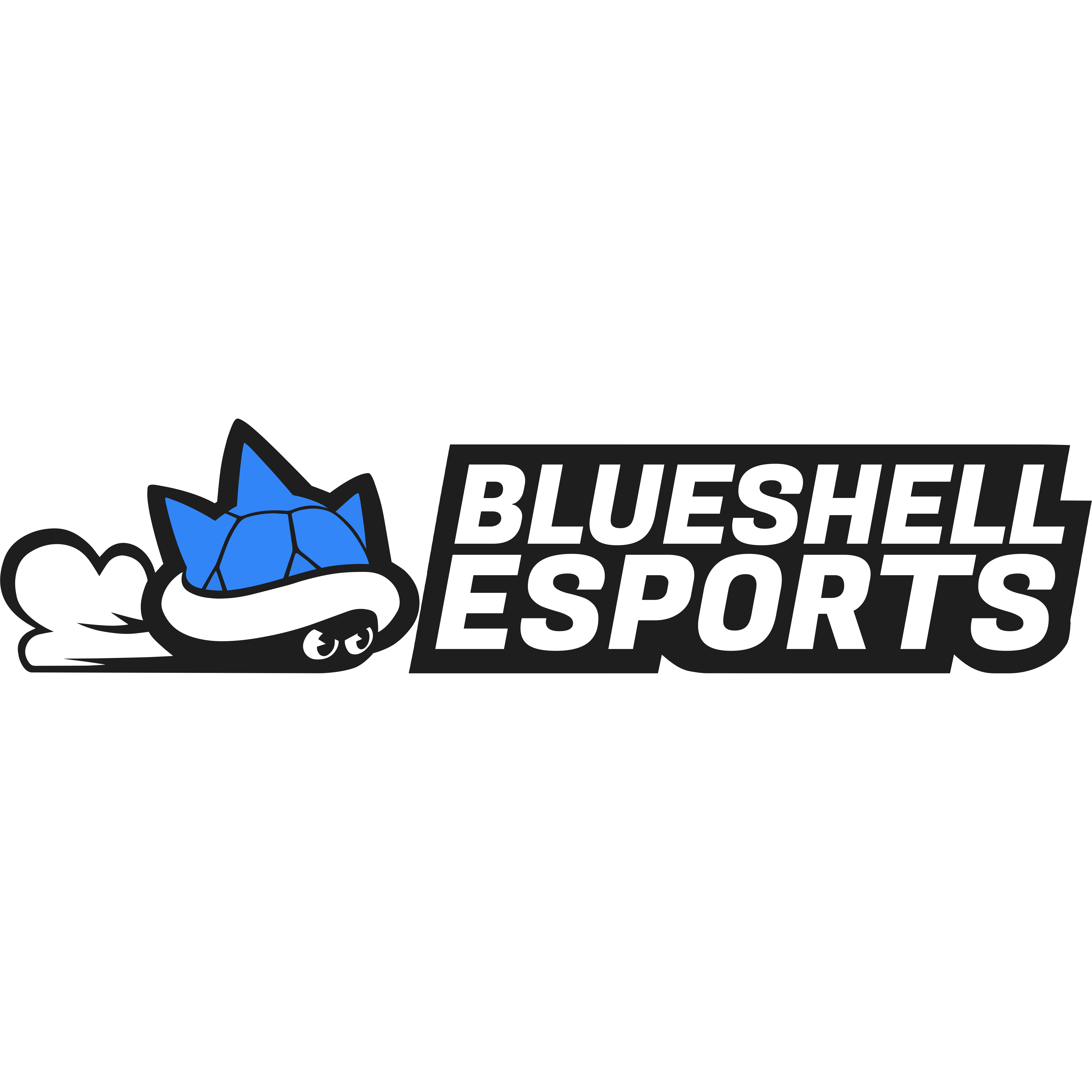 blueshell Sports Umbrella Twente