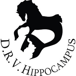 D.R.V. Hippocampus