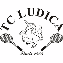 T.C. Ludica